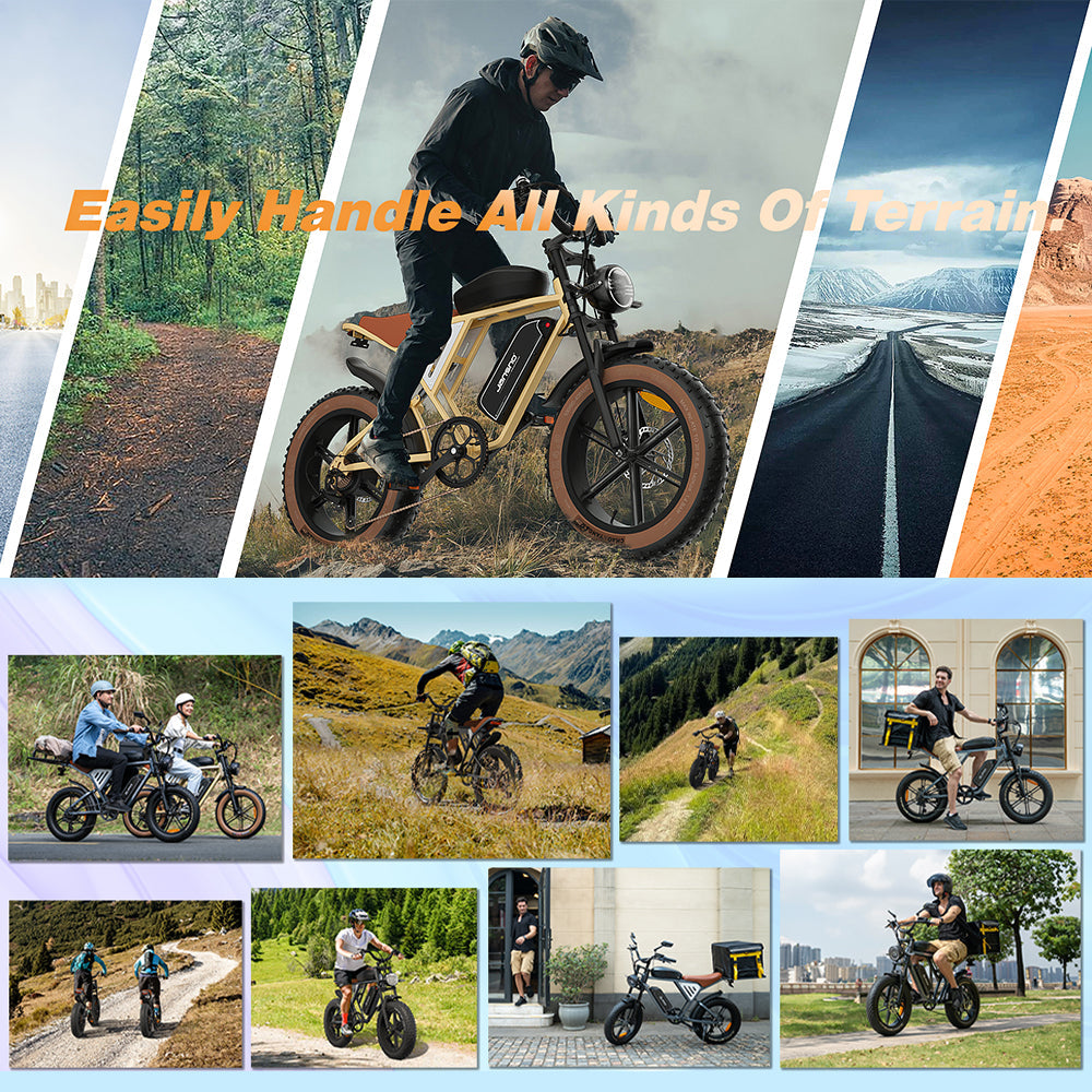 JANSNO High-Carbon Steel Electric Bicycle With 750W Brushless DC Motor