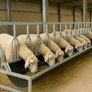 Eeeza Stable and Durable Metal Square Tube Cattle and Sheep Feeder