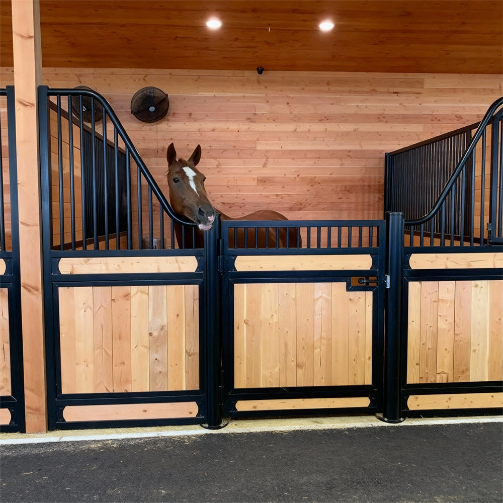 Eeeza European-Style Stable, Sturdy and Reliable