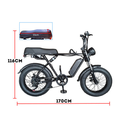 Eeeza 750W 48V 20-inch Electric Bike Bicycle