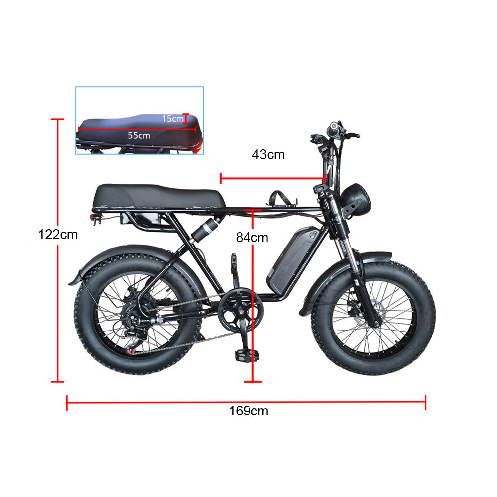 Eeeza R1ZCC 750W Fat Tire Electric Bike - 60km range and dual suspension