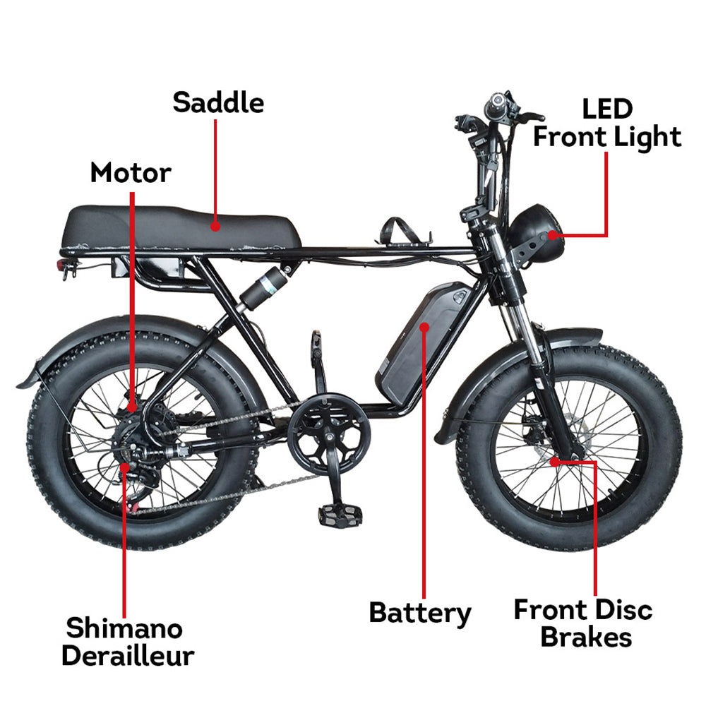 Eeeza R1ZCC 750W Fat Tire Electric Bike - 60km range and dual suspension