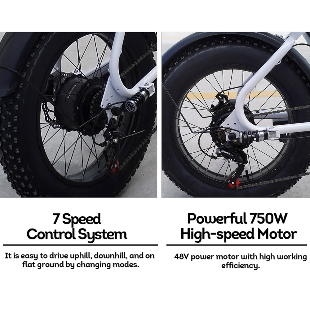 Eeeza R1ZCC 750W Fat Tire Electric Bike - 60km range and dual suspension