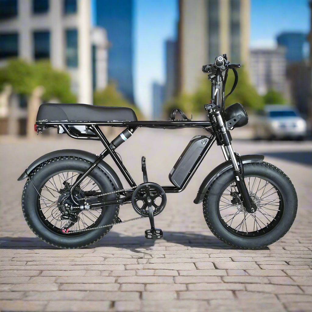 Eeeza R1ZCC 750W Fat Tire Electric Bike - 60km range and dual suspension