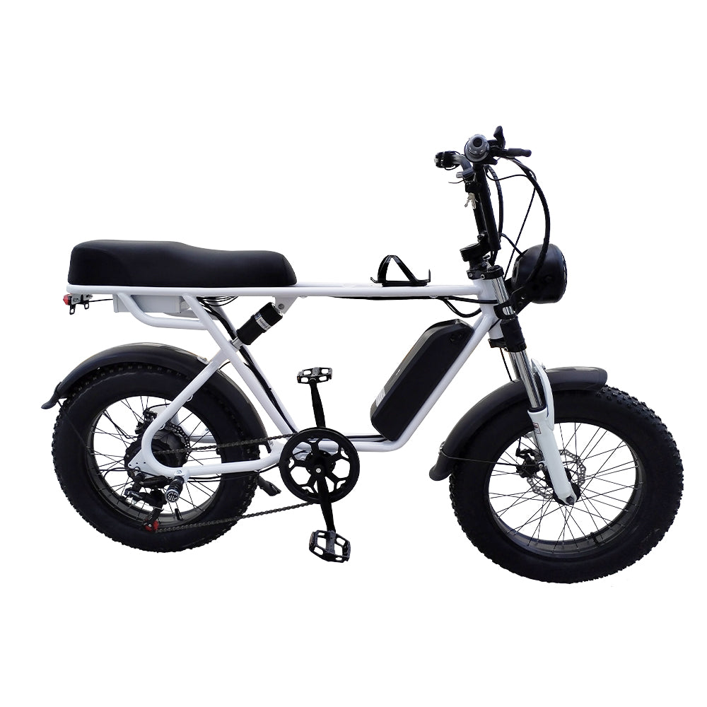 Eeeza R1ZCC 750W Fat Tire Electric Bike - 60km range and dual suspension
