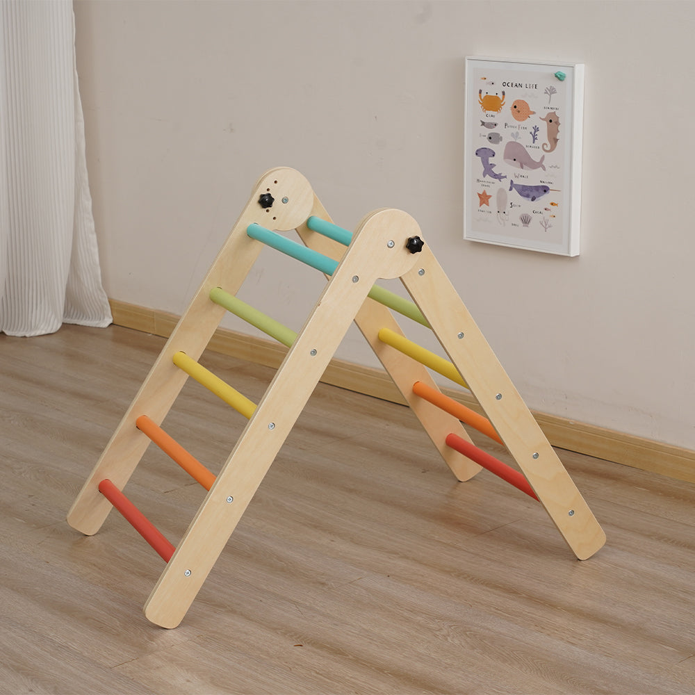Eeeza Colourful Children's Climbing Frame