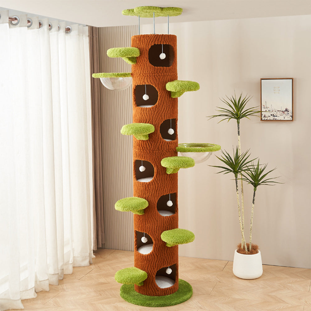 Eeeza Multi-functional Tree Hollow Structure Cat Tree