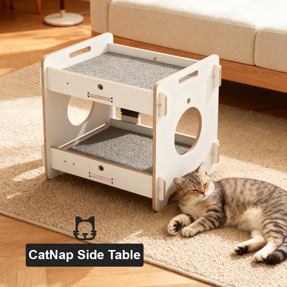 Eeeza Minimalist Double-layer CatNap Side Table With Scratching Board