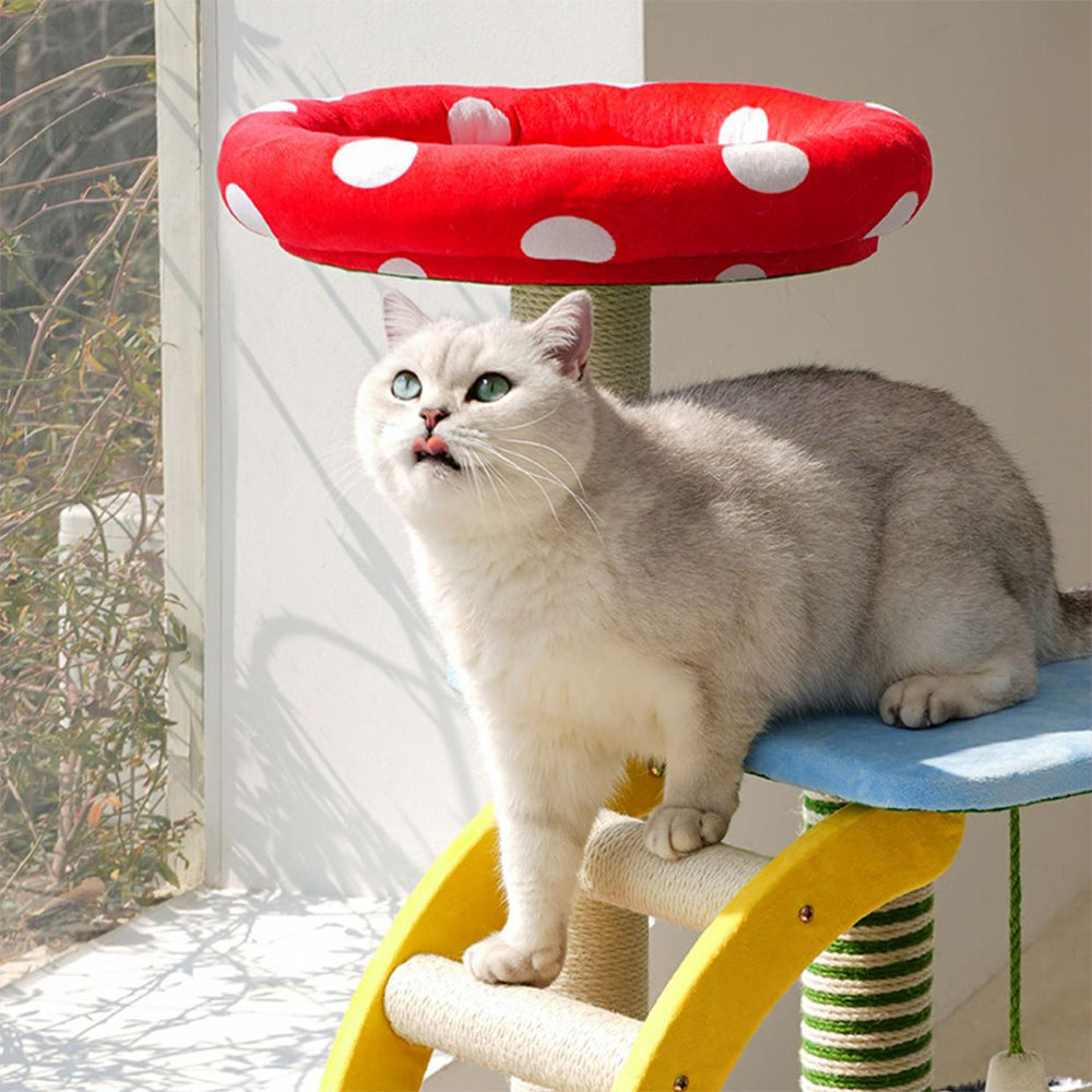 Eeeza Multi-functional All-in-One Plush Cat Tree