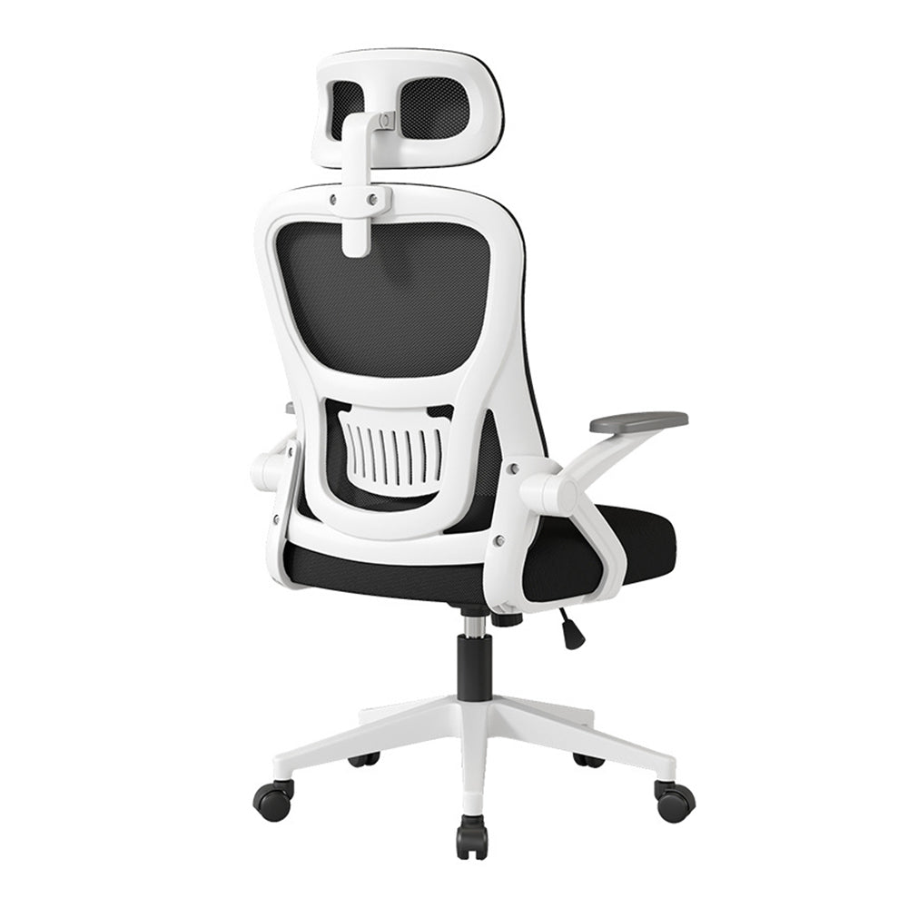 Eeeza Adjustable Ergonomic Office Chair