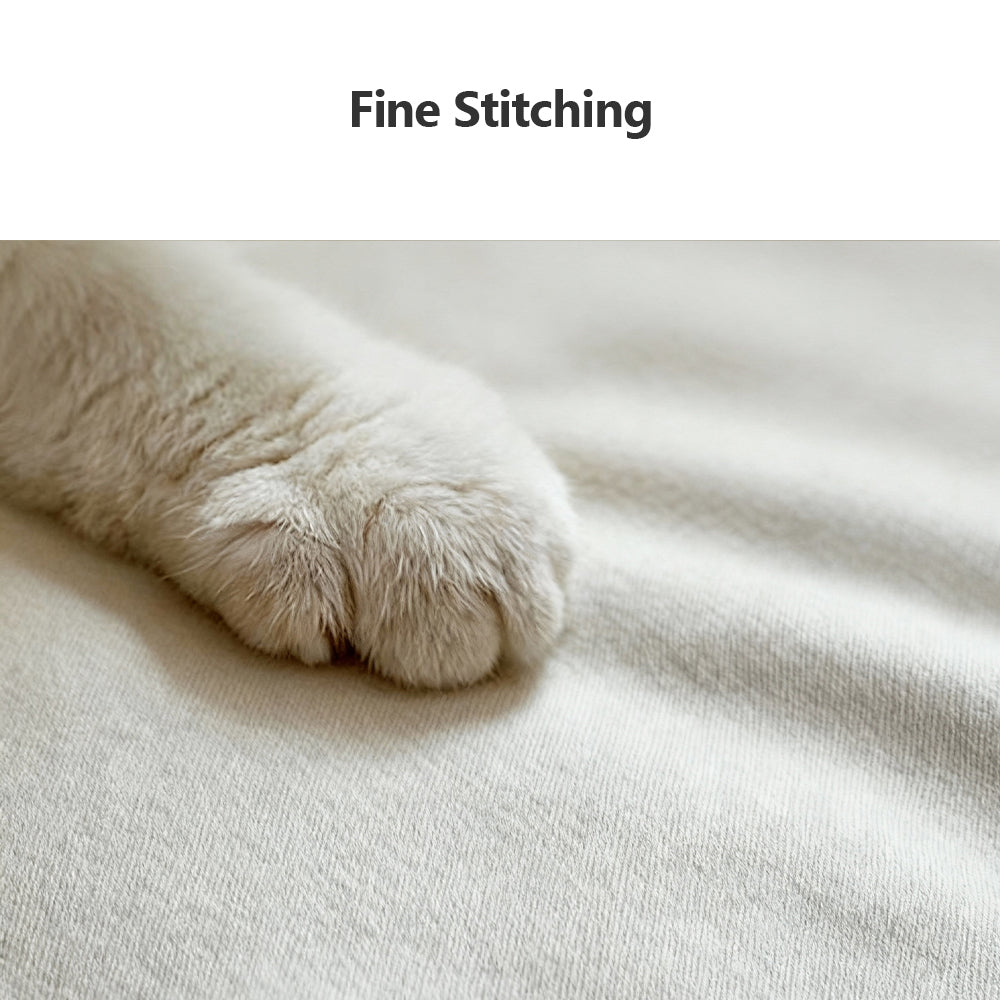 Eeeza Modern Essence Series Upright Chair