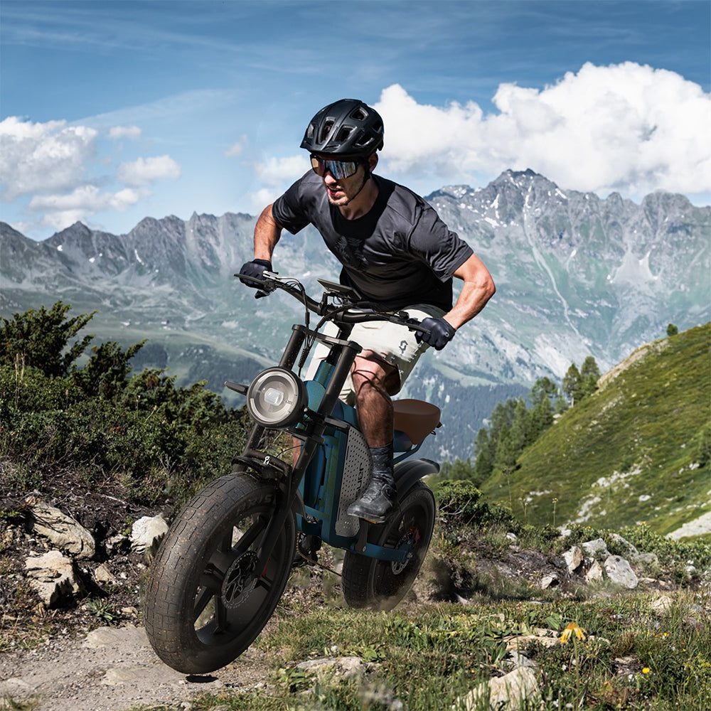 JANSNO High-Carbon Steel Electric Bicycle With 750W Brushless DC Motor