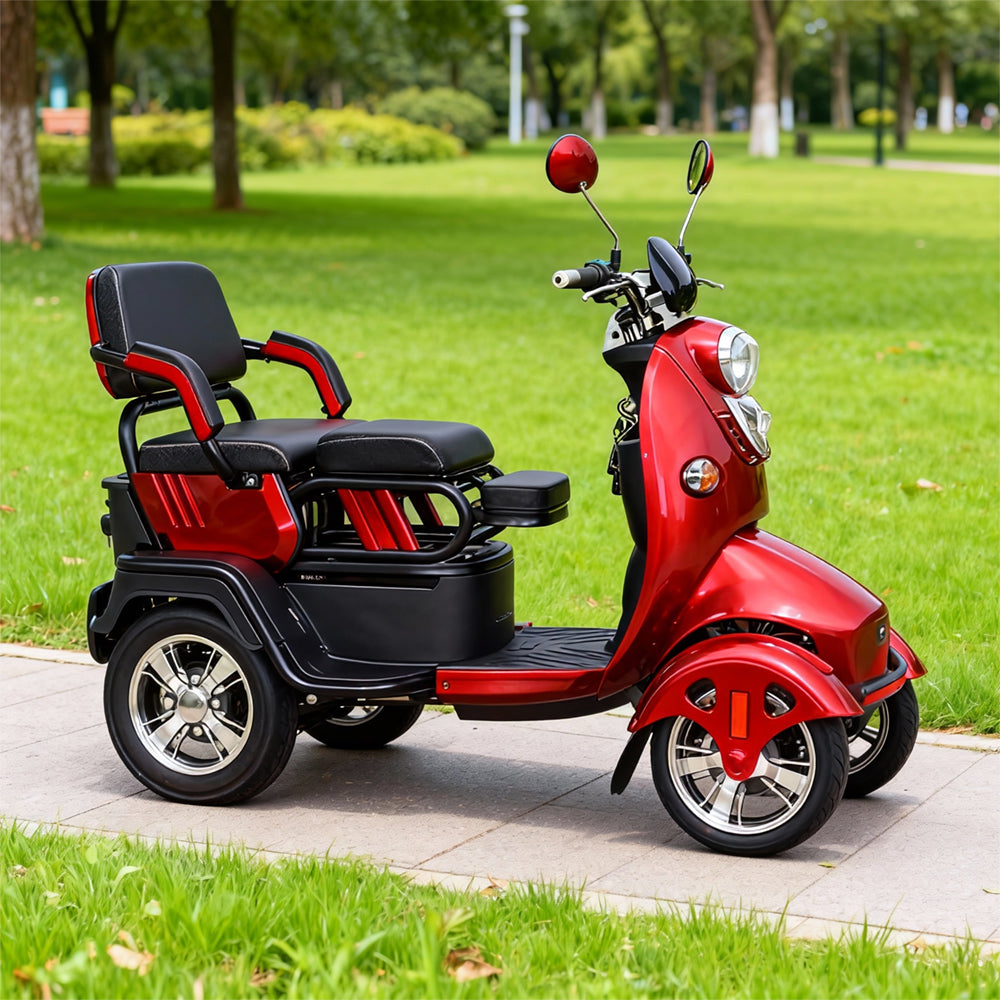 Eeeza FlexRide Family Scooter – 800W 48V20Ah