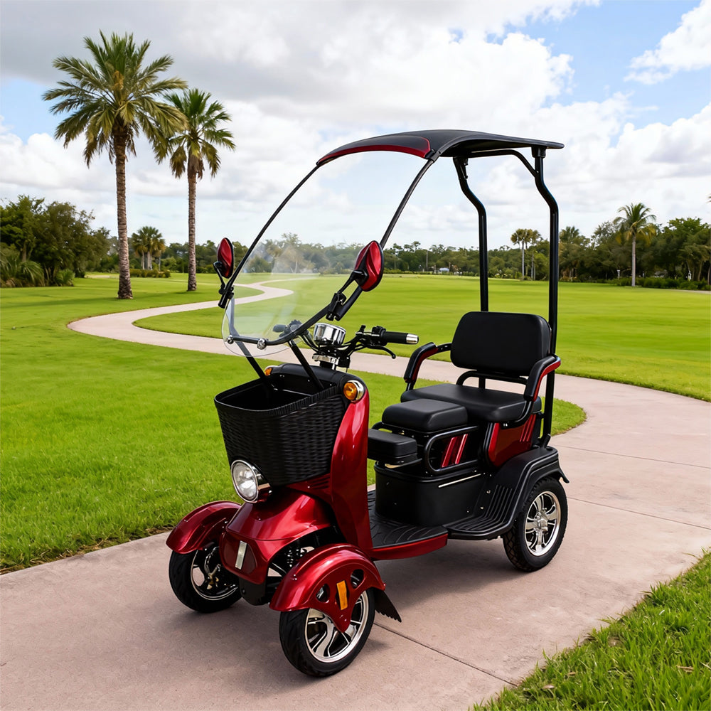 Eeeza FlexRide Family Scooter – 800W 48V20Ah