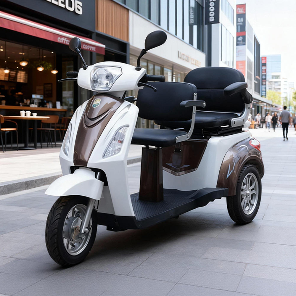 Eeeza 500W 60V 20Ah Electric Tricycle