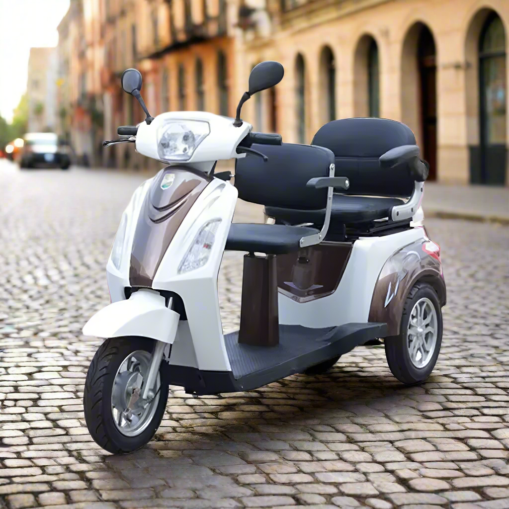 Eeeza 500W 60V 20Ah Electric Tricycle