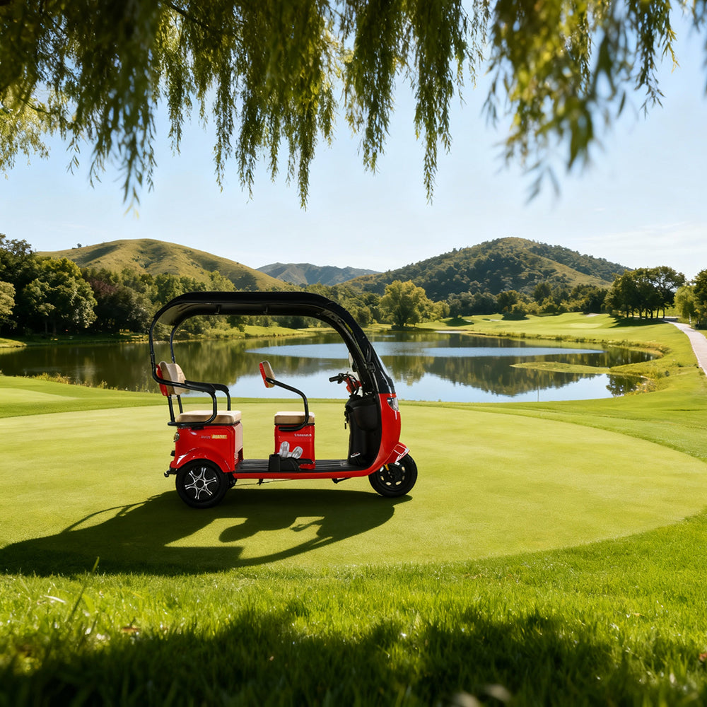 Eeeza 600W 60V 20Ah Mobility Scooter