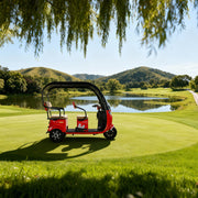 Eeeza 600W 60V 20Ah Mobility Scooter