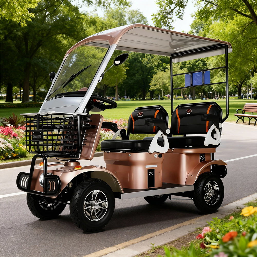 Eeeza 650W 60V 20Ah Electric Mobility Scooter with Long-Range