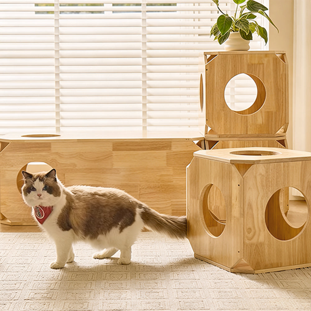 Eeeza Rubber Wood Simple Square Cat House