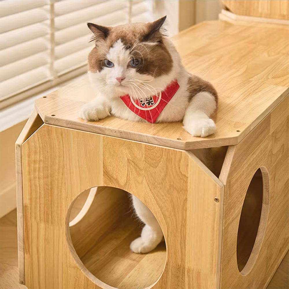 Eeeza Rubber Wood Simple Square Cat House