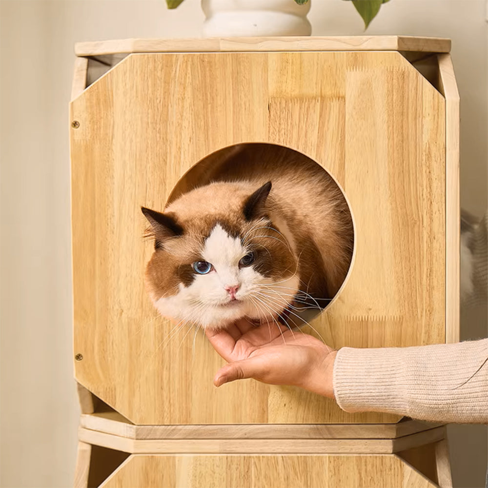 Eeeza Rubber Wood Simple Square Cat House