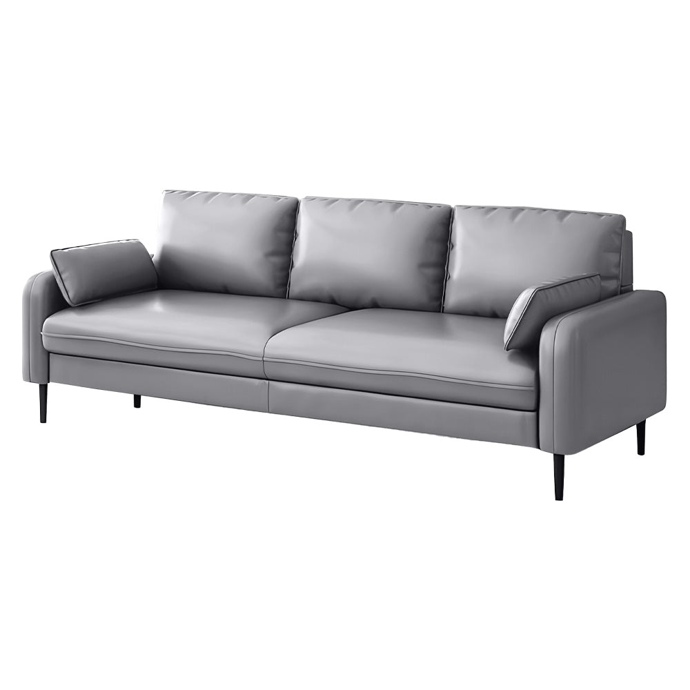 Eeeza Modern Minimalist Scratch-Resistant Sofa