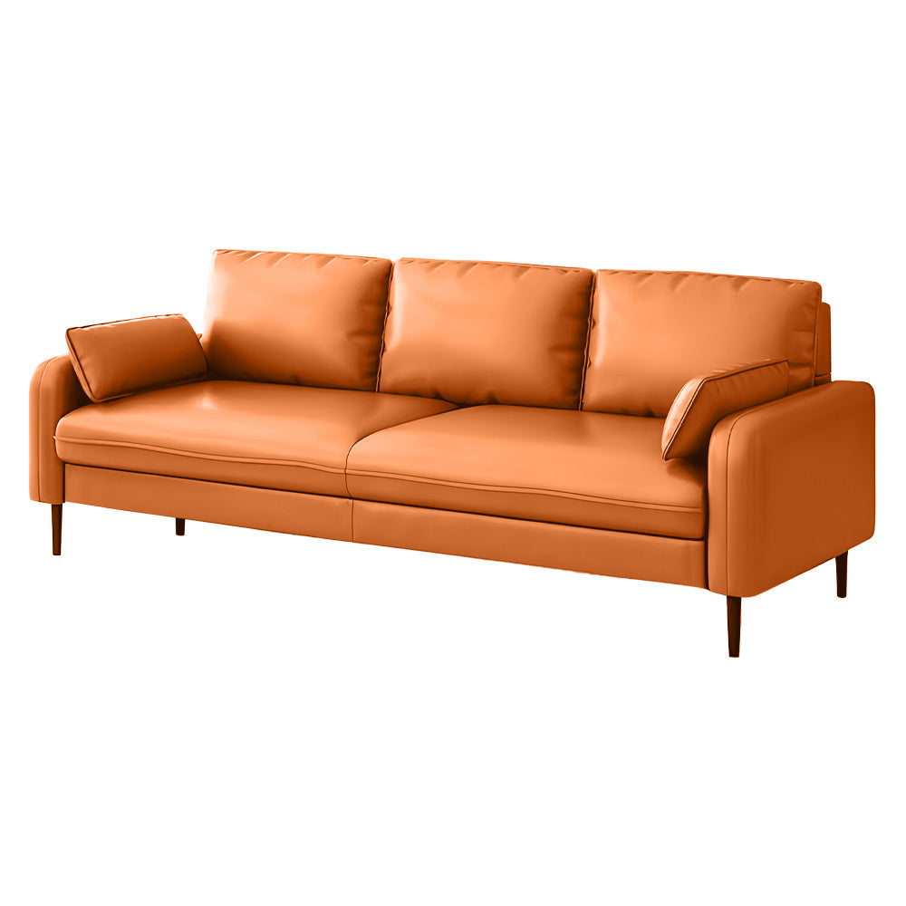Eeeza Modern Minimalist Scratch-Resistant Sofa