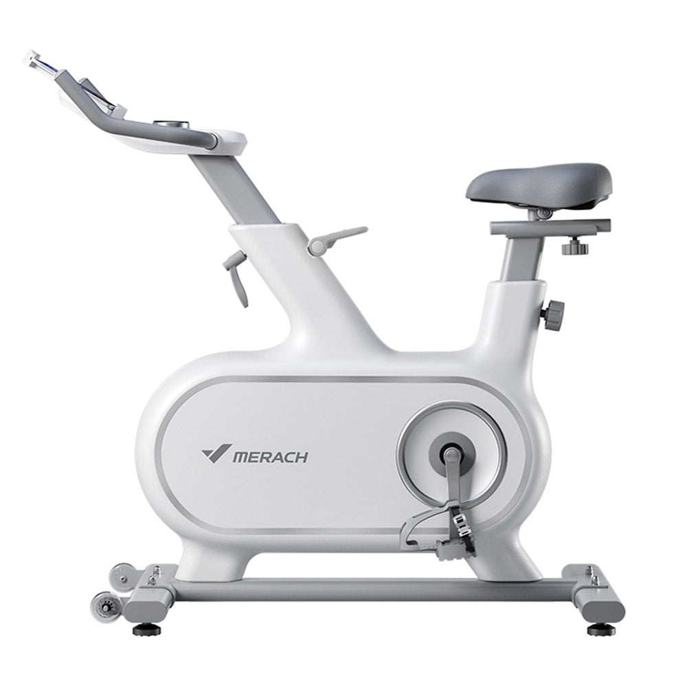 Eeeza 6KG Flywheel Spin Bike Home Gym Train - White