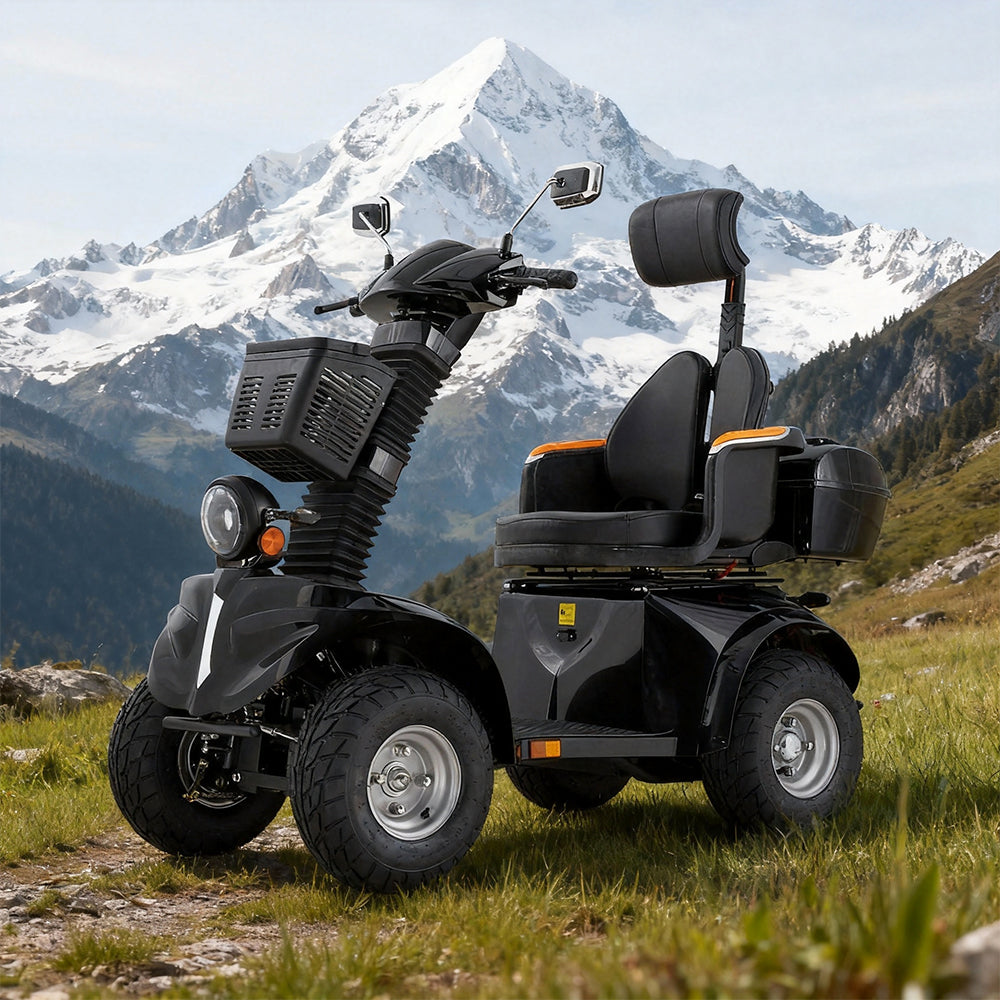 Eeeza DJD Adjustable Electric Mobility Scooter, 1000W 60V 20Ah