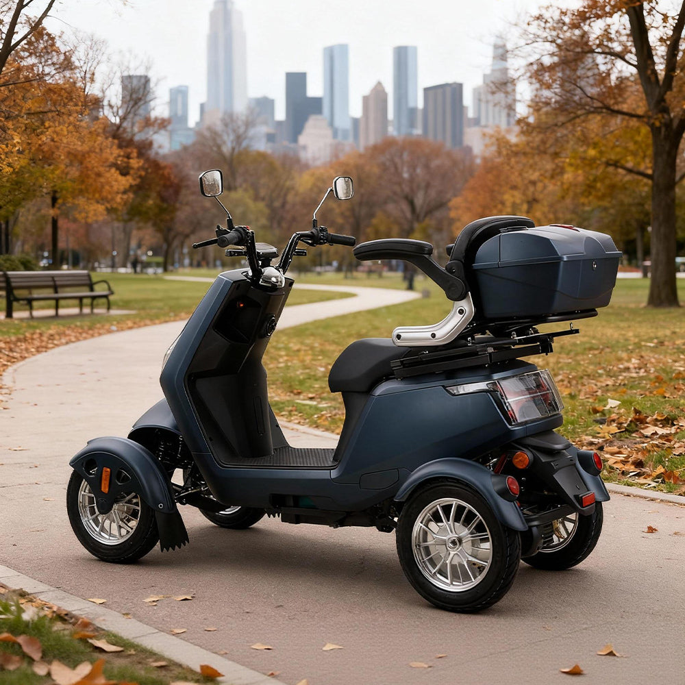 Eeeza SN4L Adjustable Electric Mobility Scooter, 800W 60V 20Ah