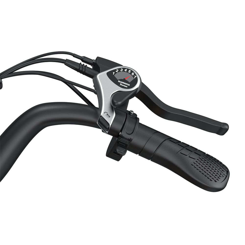 JANSNO High-Carbon Steel Electric Bicycle With 750W Brushless DC Motor