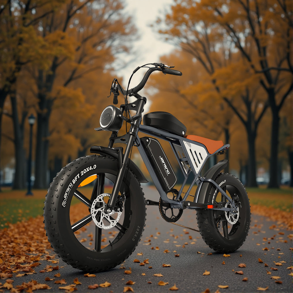 JANSNO High-Carbon Steel Electric Bicycle With 750W Brushless DC Motor