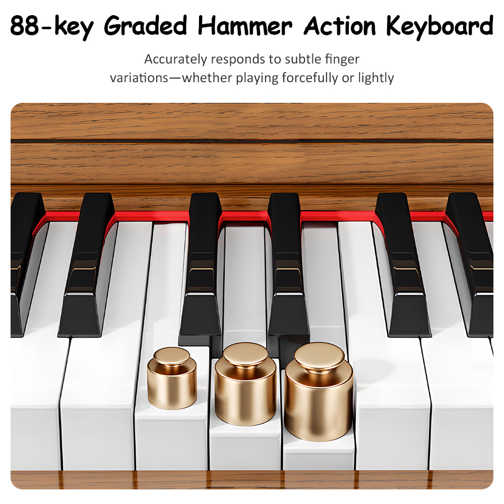 Betsy Solid Wood Cabinet 88 Key Full Size Weighted Digital Piano With Bench