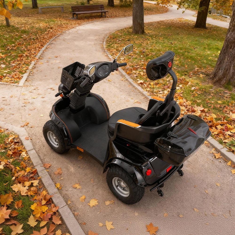 Eeeza DJD Adjustable Electric Mobility Scooter, 1000W 60V 20Ah