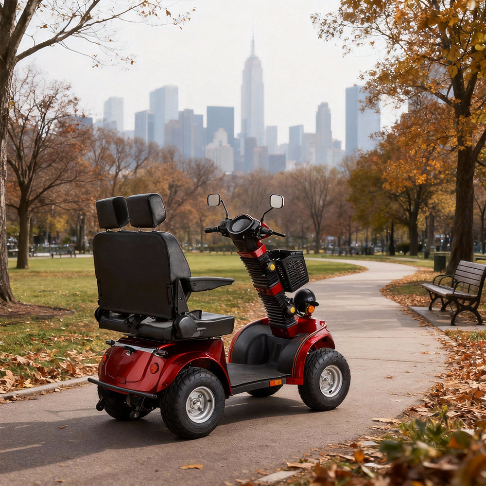 Eeeza B56B Duo Electric Mobility Scooter, 800W 60V 20Ah