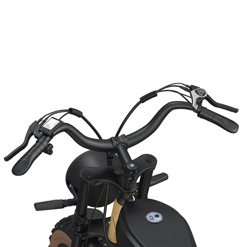 JANSNO High-Carbon Steel Electric Bicycle With 750W Brushless DC Motor