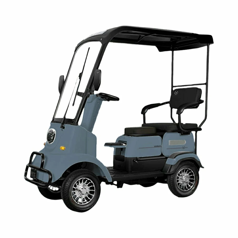 Eeeza M3 Electric Mobility Scooter, 650W 60V 20Ah