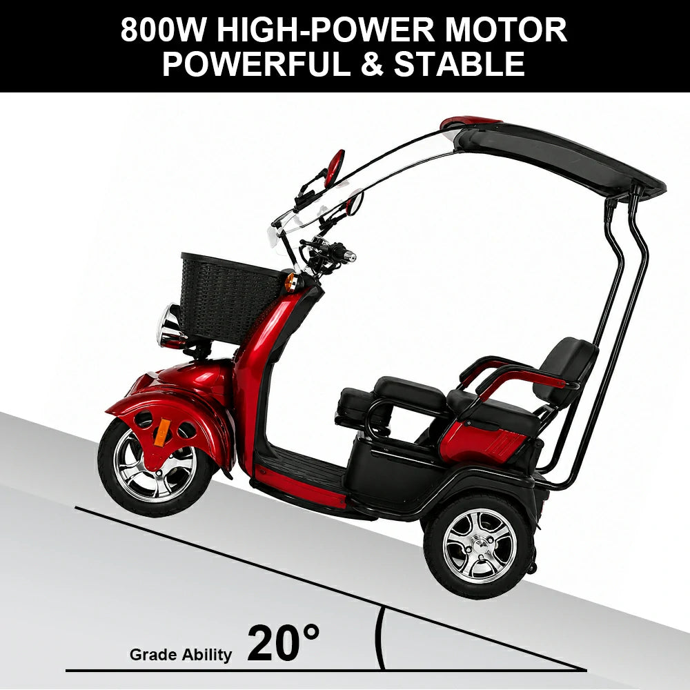 Eeeza B23 Family Electric Mobility Scooter, 800W 48V 20Ah