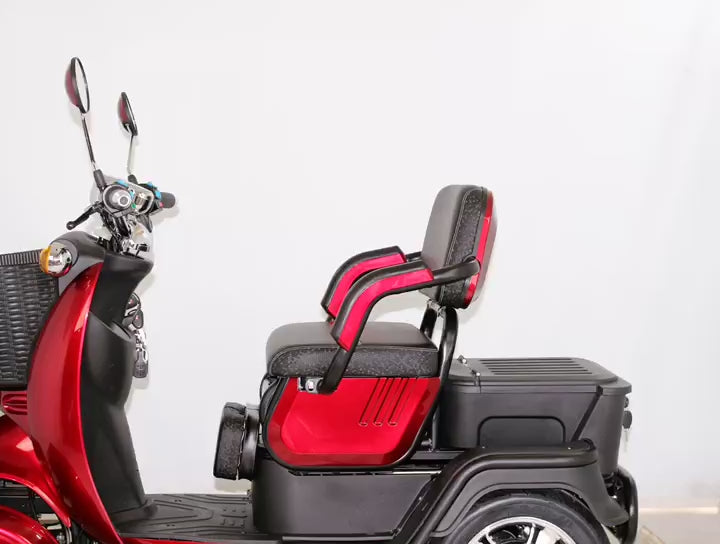 Load video: Eeeza FlexRide Family Scooter – 800W 48V20Ah with Convertible Seating &amp; Storage