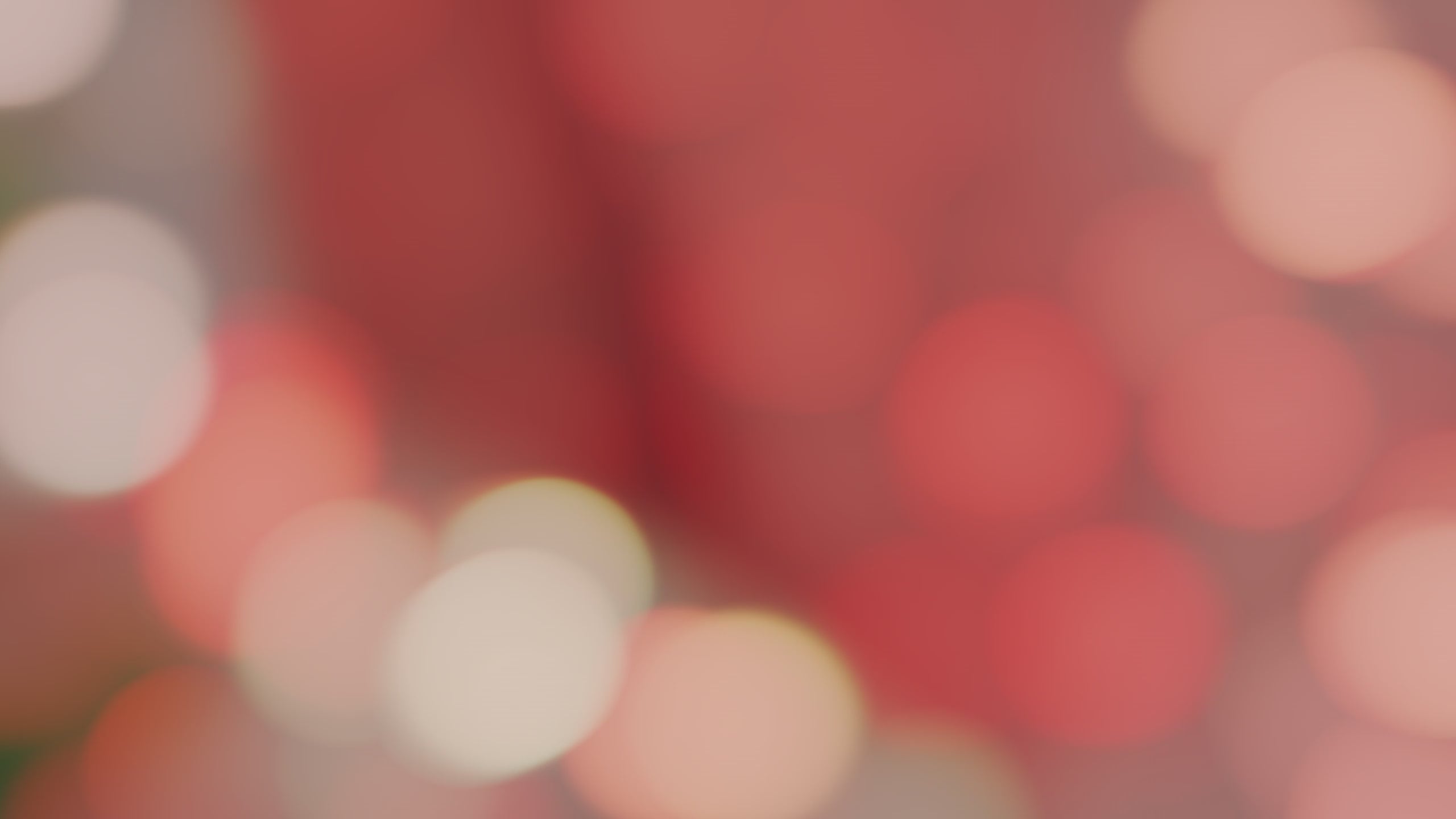 Load video: Multi-functional sofa bed variant sofa